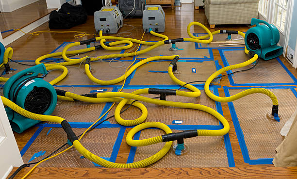 Professional Water Damage Restoration technician working in Canyon Lake, CA